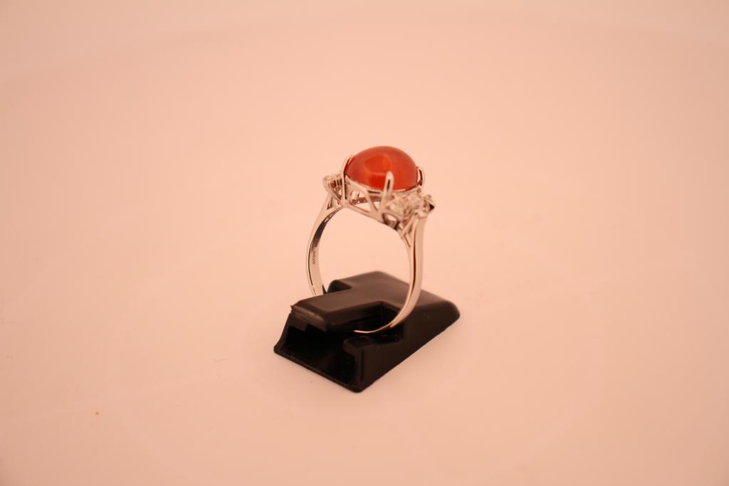 Vue à 360